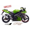 鑫源摩托公路跑車孟瑪 XY250-5A