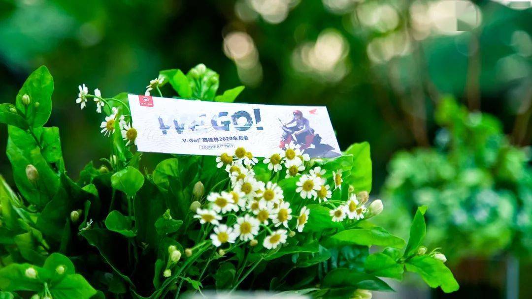 點擊進入看圖評論